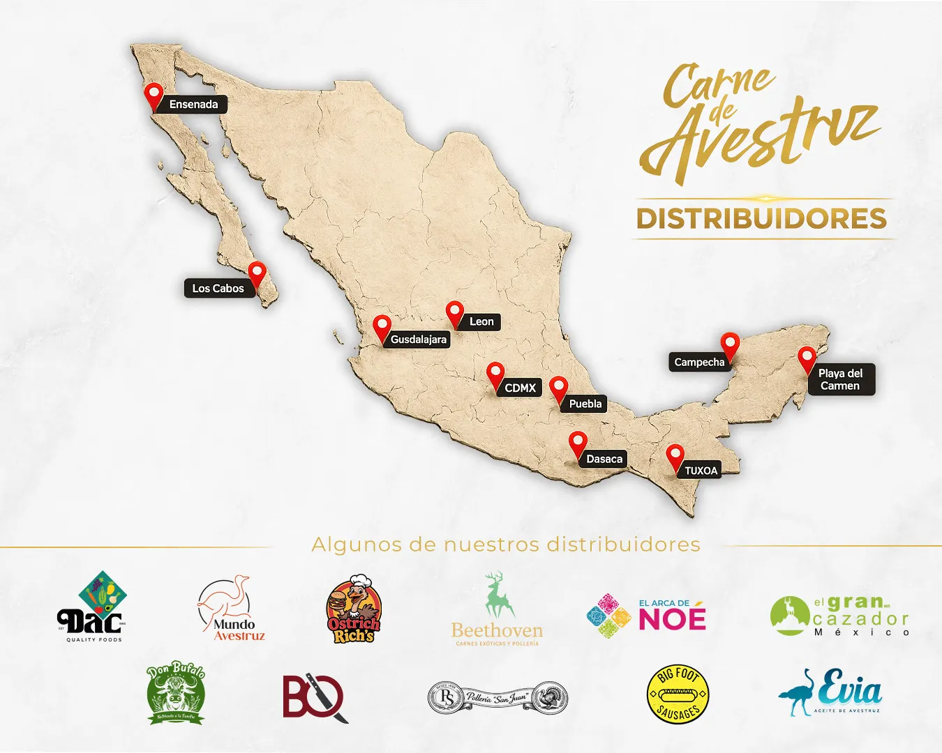 Mapa de distribuidores de Carne de Avestruz en diferentes regiones de México