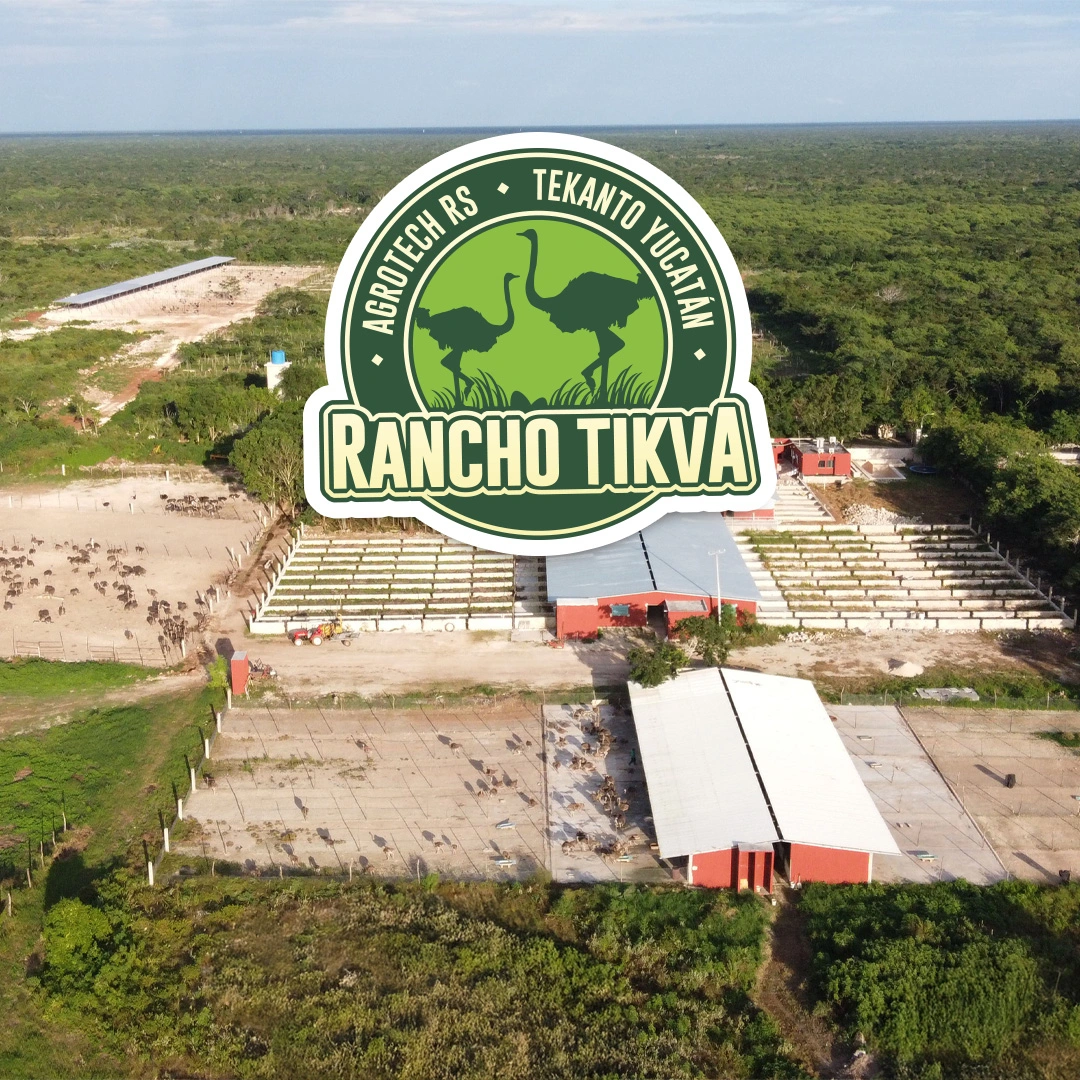 Rancho Tikva en Tekantó, Yucatán
